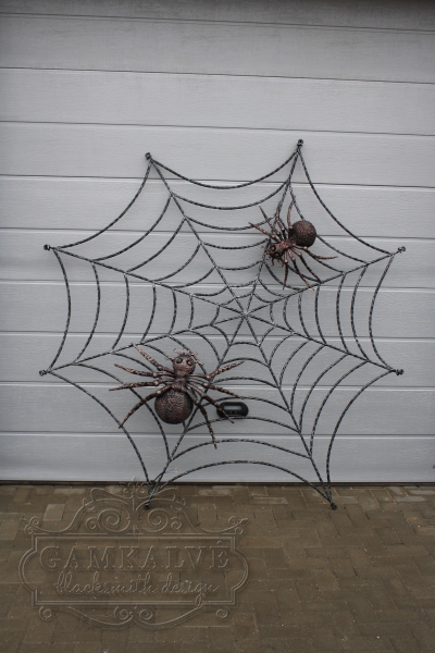 Blacksmith cobweb with the 2 spider