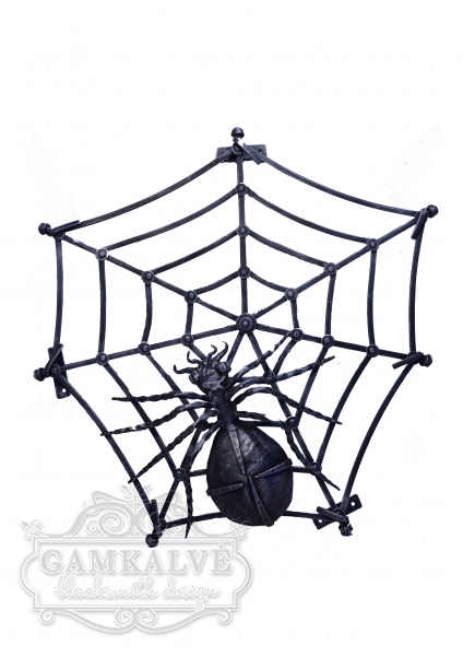 A simple cobweb with the spider