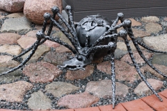 CRUSADER Spider