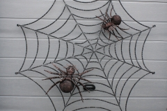 Два паука на паутине